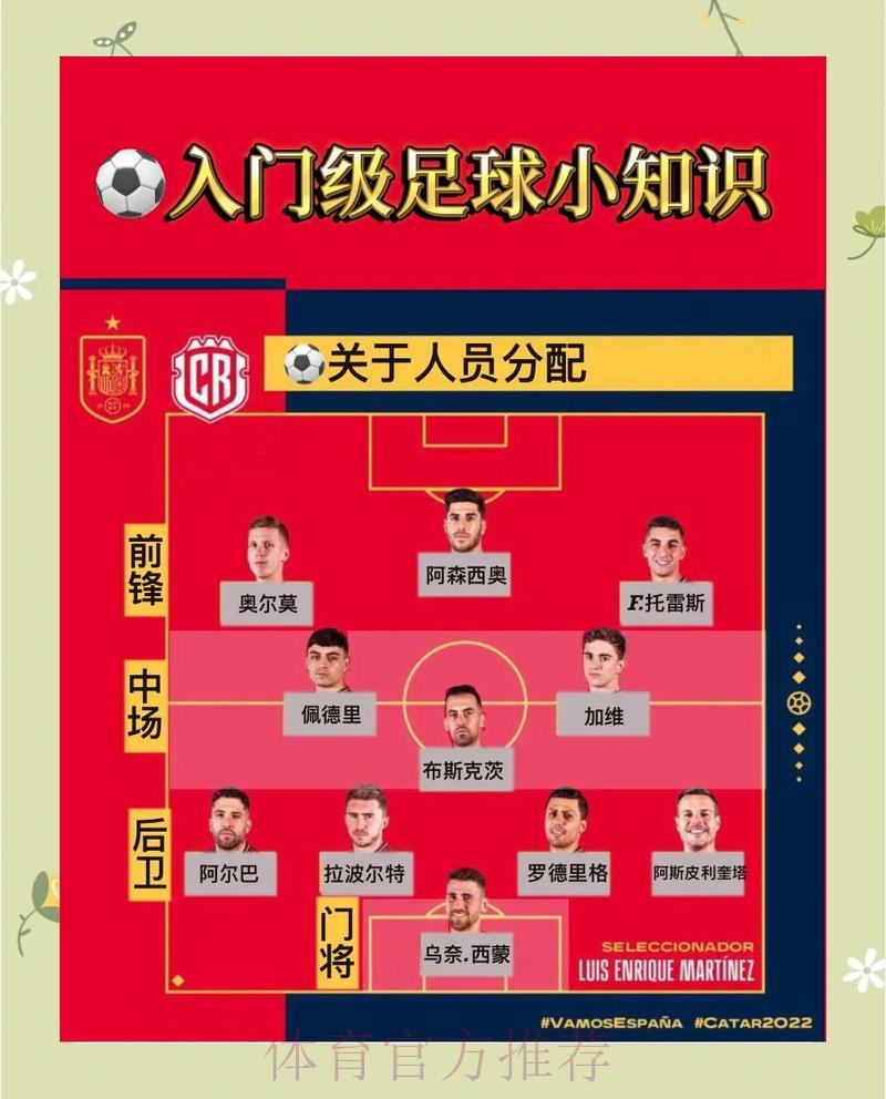 世界杯竞猜入门全攻略：新手必看参与指南